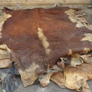 Wet Salted Cow Hides