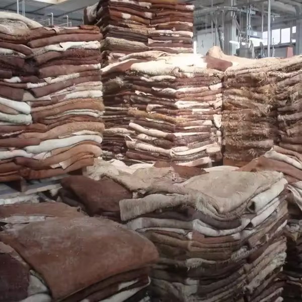 Wet Salted Cow Hides - Image 2