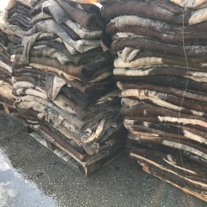 Wet Salted Cow Hides